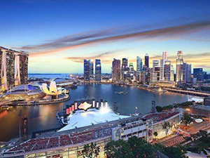 新加坡公司財務報告的類型